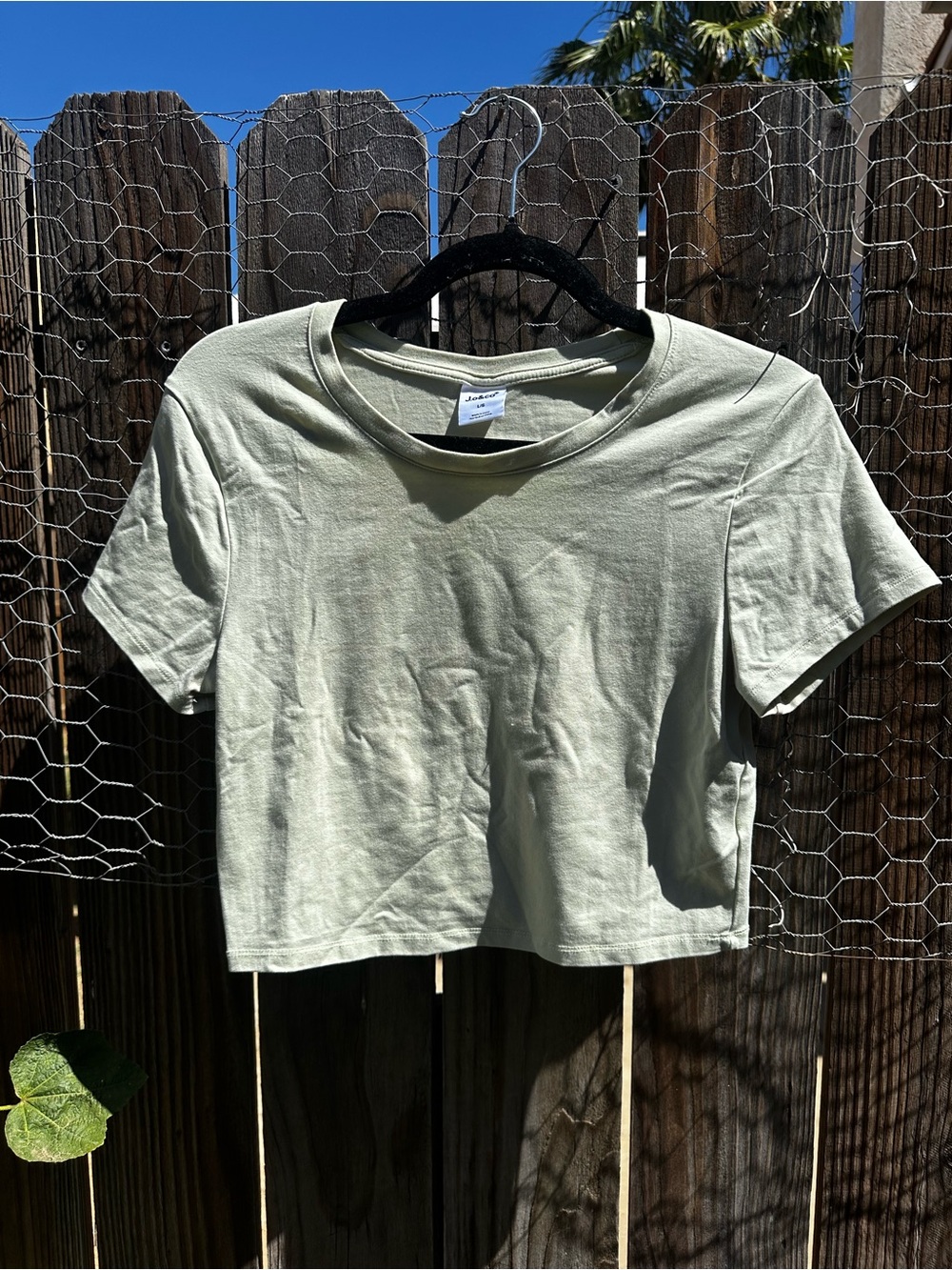 Everyday Sage Crewneck Crop Top
